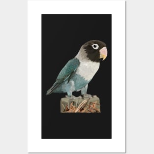 Lovebird Posters and Art